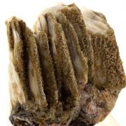 Wulfenite, Mimetite, Baryte, Fluorite.