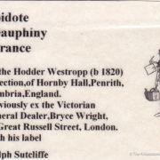 Epidote (circa mid-1800s)