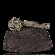 Pyrite on Pyrite ps. Baculites yokayamai