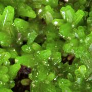 Pyromorphite with Quartz