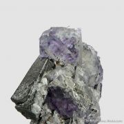 Wolframite and Fluorite with Pyrite
