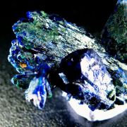 Azurite with Malachite