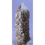 Quartz, Siderite (?)