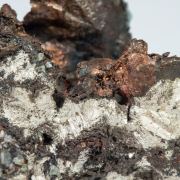 Silver with Copper (variety halfbreed)