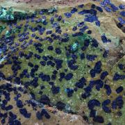 Cornetite + Chrysocolla.