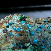 Sampleite with Atacamite and Chrysocolla