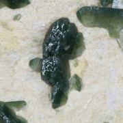 Hydroxylapatite on Microcline