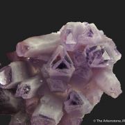 Quartz var. Amethyst with phantoms