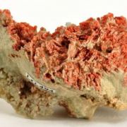 Hilgardite on Boracite