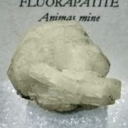 Fluorapatite