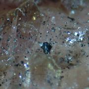 Shigaite, Rhodochrosite