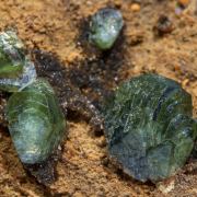 Ludlamite with Siderite