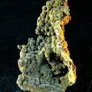 Mottramite