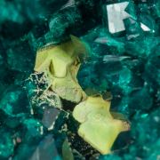 Dioptase with Wulfenite coated by Pyromorphite