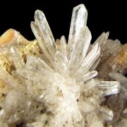 Creedite