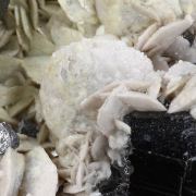 Sphalerite on Siderite