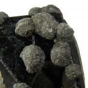 Ferberite (twin) with Marcasite and Arsenopyrite