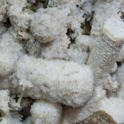 Calcite (variety kanonenspat) with Epidote