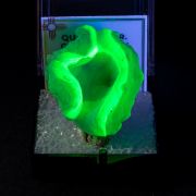 Quartz var. Chalcedony