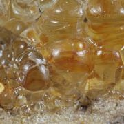 Opal / (variety - “Opal-AN”) / (variety - “Hyalite Opal”) / (“Blood Vessel Opal”)