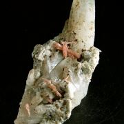 Inesite and Hubeite on Quartz