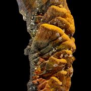 Goethite perimorphose after gypsum LAVRION