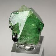 gem GARNET var. GROSSULAR var. TSAVORITE, DIOPSIDE
