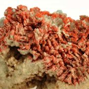 Hilgardite on Boracite