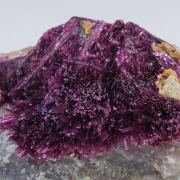 Erythrite with Phlogopite