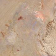 Opal Replacing Bivalve fossil / 22.90 grams / Coober Pedy, Australia