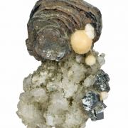 Hematite Rose on Adularia