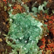 Cuprian Adamite