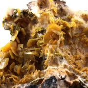 Wulfenite + Galena.