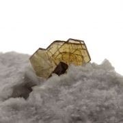 Bastnäsite + Allanite.