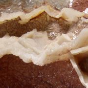 Dolomite cast TSUMEB