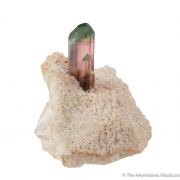 Elbaite Tourmaline in Cookeite