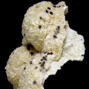 Dolomite cast TSUMEB