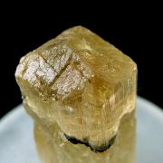 Scapolite