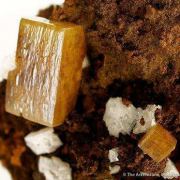 Wulfenite With Calcite