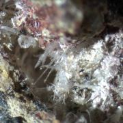 Onoratoite, Klebelsbergite