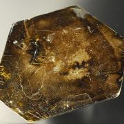 Phlogopite