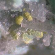 Chrysocolla, Duftite, Mimetite