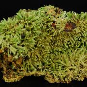 Pyromorphite
