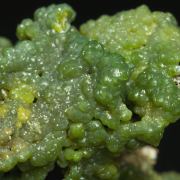 Pyromorphite