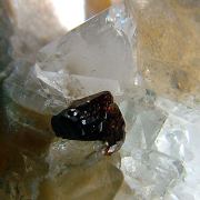 Fluornatromicrolite, Topaz, Albite, Muscovite