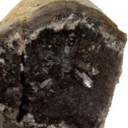 Septaria, Quartz, Chalcedony.