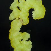 Brucite with Dypingite