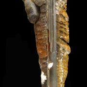 Goethite perimorphose after gypsum LAVRION