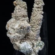 Calcite (variety kanonenspat) with Chlorite and Prehnite