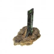 Vivianite (gemmy crystals) on Siderite